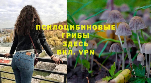 гашик Армянск
